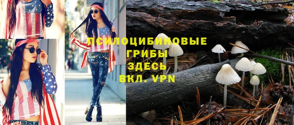 спайс Горнозаводск