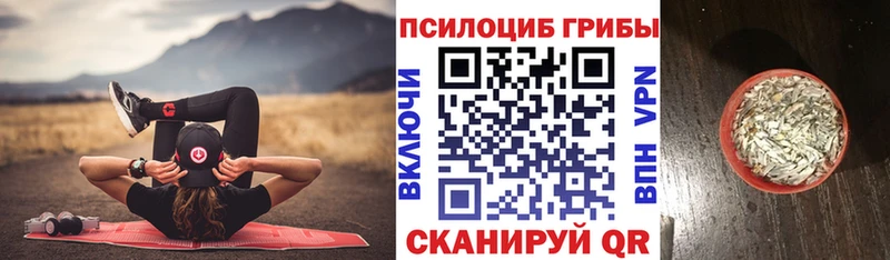 Псилоцибиновые грибы мухоморы  МЕГА ONION  Звенигово 